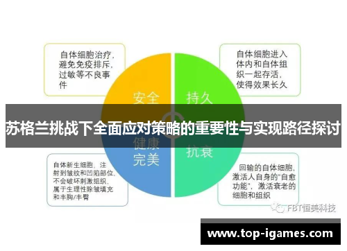 苏格兰挑战下全面应对策略的重要性与实现路径探讨 苏格兰挑战下全面应对策略的重要性与实现路径探讨