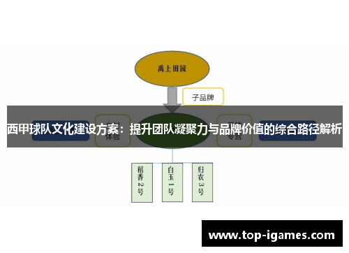 西甲球队文化建设方案：提升团队凝聚力与品牌价值的综合路径解析