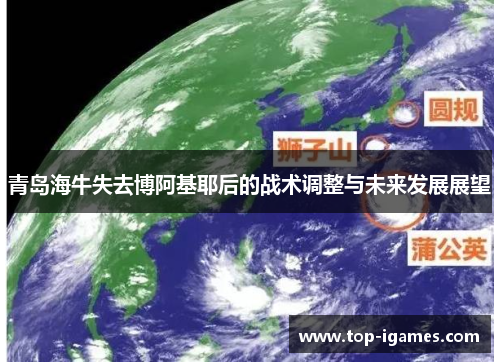 青岛海牛失去博阿基耶后的战术调整与未来发展展望